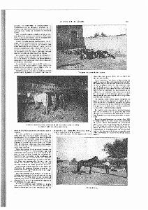 LIVRE D OR DE L ORANIE_000090